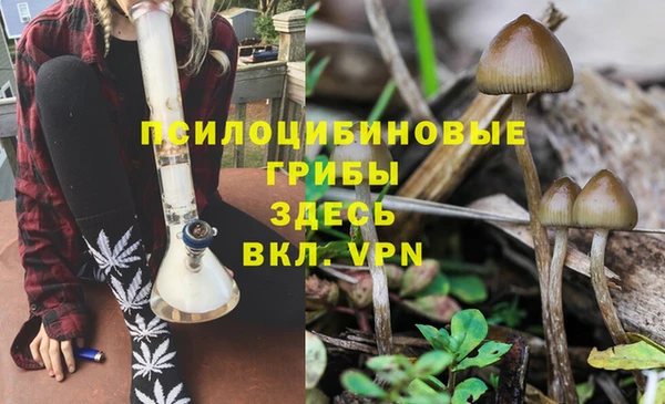 spice Алзамай