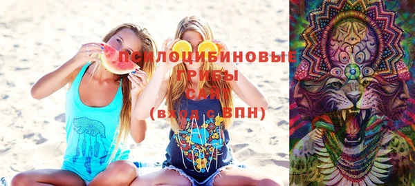 spice Алзамай