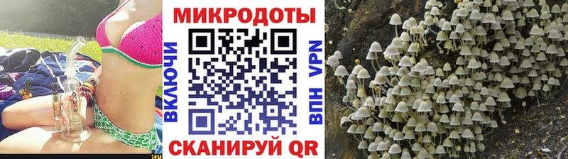 Псилоцибиновые грибы ЛСД  наркота  Ессентукская 